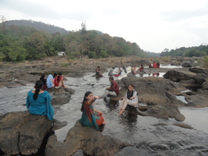 picnic-2013-Athirapilly-b1.jpg